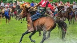 Seri Pasola_Bagian Pertama: Kesakralan Pasola Kian Tergerus Zaman