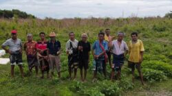 Seri Pasola_Bagian  Kelima: Lokasi Pasola Ghinda Kamba Dibersihkan Sebatas Pelipur Lara