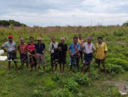 Seri Pasola_Bagian  Kelima: Lokasi Pasola Ghinda Kamba Dibersihkan Sebatas Pelipur Lara