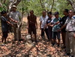 ASAL USUL TANAH HARUS JELAS